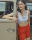 패턴이미지