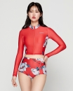 패턴이미지