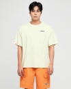 패턴이미지