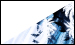Color Image