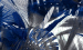 Color Image