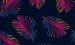 Color Image