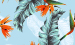Color Image