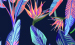 Color Image