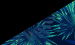 Color Image