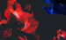 Color Image