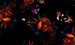 Color Image