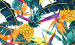 Color Image