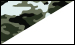 Color Image