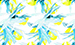 Color Image