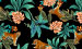 Color Image