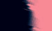 Color Image