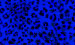 Color Image