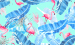 Color Image