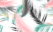 Color Image
