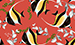 Color Image