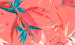 Color Image