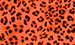 Color Image