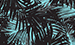 Color Image