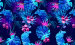 Color Image