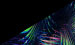 Color Image