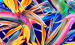 Color Image