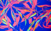 Color Image