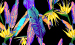Color Image