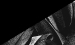 Color Image