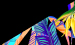 Color Image