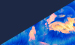 Color Image